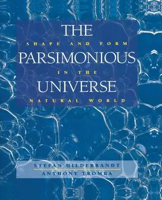 L'universo parsimonioso: Forma e design nel mondo naturale - The Parsimonious Universe: Shape and Form in the Natural World