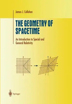 La geometria dello spazio: Introduzione alla relatività speciale e generale - The Geometry of Spacetime: An Introduction to Special and General Relativity