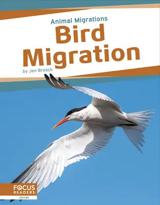 Migrazione degli uccelli - Bird Migration