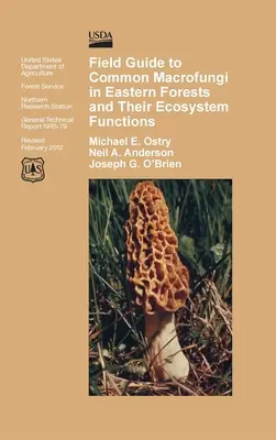 Guida ai macrofunghi comuni delle foreste orientali e alla loro funzione ecosistemica - Field Guide to Common Macrofungi in Eastern Forests and Their Ecosystem Function