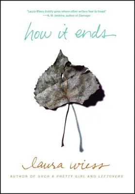 Come finisce - How It Ends