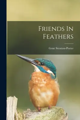 Amici nelle piume - Friends In Feathers