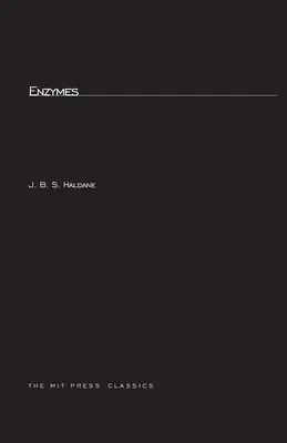 Gli enzimi - Enzymes