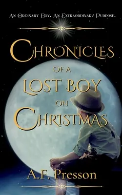 Cronache di un ragazzo smarrito a Natale - Chronicles of a Lost Boy on Christmas