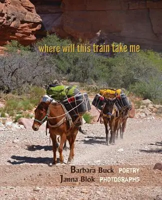 dove mi porterà questo treno - where will this train take me