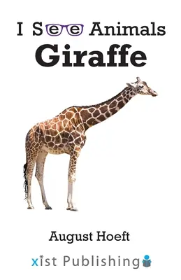 Giraffa - Giraffe