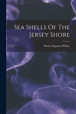 Conchiglie di mare della costa del Jersey - Sea Shells Of The Jersey Shore
