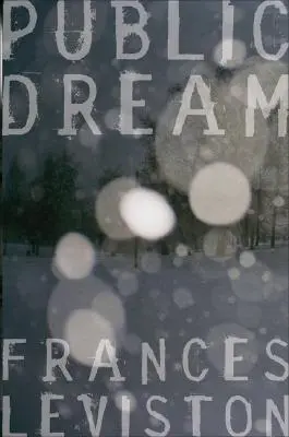 Sogno pubblico - Public Dream
