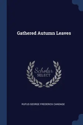 Foglie d'autunno raccolte - Gathered Autumn Leaves