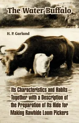 Il bufalo d'acqua: Le sue caratteristiche e le sue abitudini insieme a una descrizione della preparazione della sua pelle per la realizzazione di grimaldelli in pelle d'acciaio. - The Water Buffalo: Its Characteristics and Habits Together with a Description of the Preparation of Its Hide for Making Rawhide Loom Pick