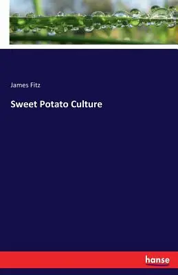 Cultura della patata dolce - Sweet Potato Culture