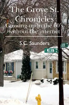 Le cronache di Grove St: Crescere negli anni '60 senza internet - The Grove St. Chronicles: Growing up in the 60's without the internet