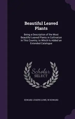 Piante a foglia bella: Descrizione delle più belle piante a foglia in coltivazione in questo paese, a cui si aggiunge un'ampia - Beautiful Leaved Plants: Being a Description of the Most Beautiful Leaved Plants in Cultivation in This Country, to Which Is Added an Extended