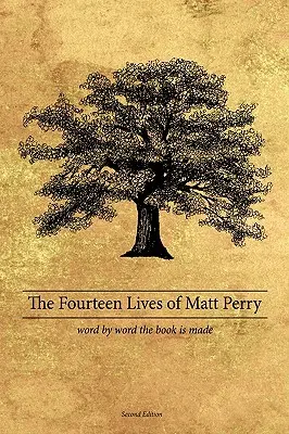 Le quattordici vite di Matt Perry - The Fourteen Lives of Matt Perry