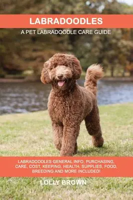 Labradoodles: Informazioni generali sui Labradoodles, acquisto, cura, costi, mantenimento, salute, forniture, cibo, allevamento e altro ancora! Un animale domestico - Labradoodles: Labradoodles General Info, Purchasing, Care, Cost, Keeping, Health, Supplies, Food, Breeding and More Included! A Pet