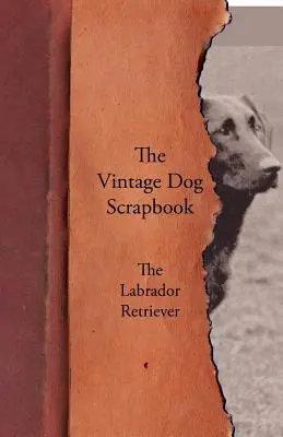 L'album d'epoca del cane - Il Labrador Retriever - The Vintage Dog Scrapbook - The Labrador Retriever