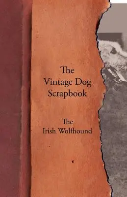L'album dei ricordi del cane d'epoca - L'Irish Wolfhound - The Vintage Dog Scrapbook - The Irish Wolfhound