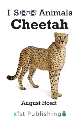Ghepardo - Cheetah