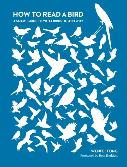 Come leggere un uccello - Una guida intelligente a ciò che gli uccelli fanno e perché - How to Read a Bird - A Smart Guide to What Birds Do and Why