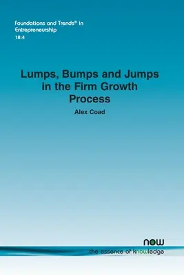 Dossi, crolli e salti nel processo di crescita di un'azienda - Lumps, Bumps and Jumps in the Firm Growth Process
