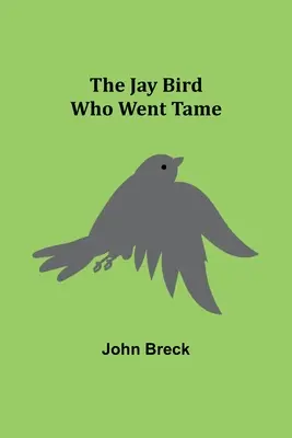 L'uccello ghiandaia che si addomesticò - The Jay Bird Who Went Tame