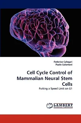 Controllo del ciclo cellulare delle cellule staminali neurali di mammifero - Cell Cycle Control of Mammalian Neural Stem Cells