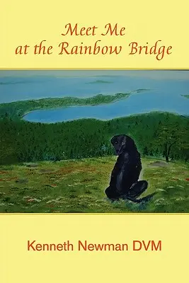 Incontriamoci al Ponte dell'Arcobaleno - Meet Me at the Rainbow Bridge