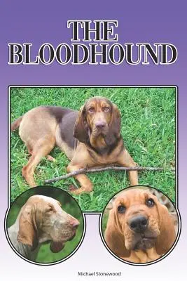Il Segugio: Guida completa ed esaustiva per principianti a: Acquistare, possedere, salute, toelettatura, addestramento, obbedienza, capire - The Bloodhound: A Complete and Comprehensive Beginners Guide To: Buying, Owning, Health, Grooming, Training, Obedience, Understanding