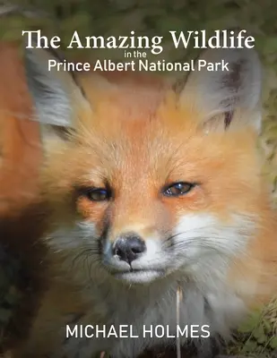 La sorprendente fauna selvatica del Parco nazionale Prince Albert - The Amazing Wildlife in the Prince Albert National Park