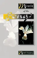 Miracolo della canzone - Miracle of the Song