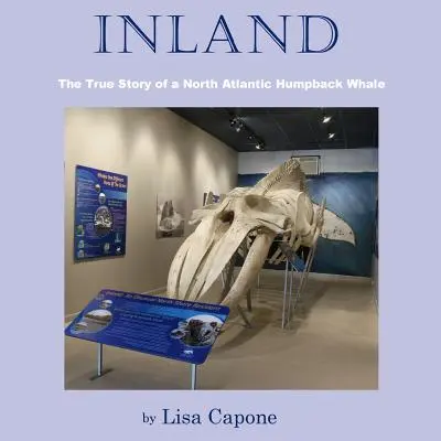L'entroterra - Inland
