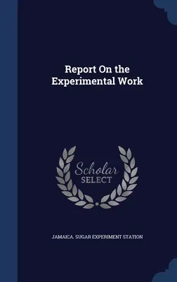 Relazione sul lavoro sperimentale - Report On the Experimental Work