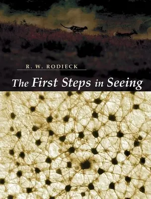 I primi passi nella visione - The First Steps in Seeing