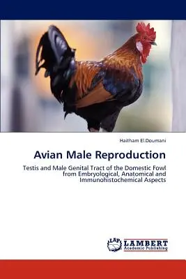 Riproduzione maschile aviaria - Avian Male Reproduction