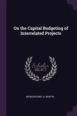 Sul capital budgeting di progetti interrelati - On the Capital Budgeting of Interrelated Projects