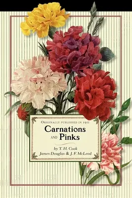 Garofani e rosa - Carnations and Pinks
