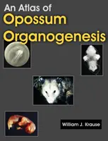 Atlante dell'organogenesi dell'opossum: Lo sviluppo dell'opossum - An Atlas of Opossum Organogenesis: Opossum Development