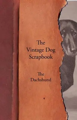 L'album di ritagli di cani d'epoca - Il bassotto - The Vintage Dog Scrapbook - The Dachshund