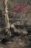 La passeggiata di sangue: Riflessioni su una battaglia della guerra civile - Bloody Promenade: Reflections on a Civil War Battle