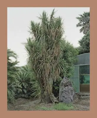 Oksun Kim: L'isola di Jeju - Oksun Kim: Jeju Island