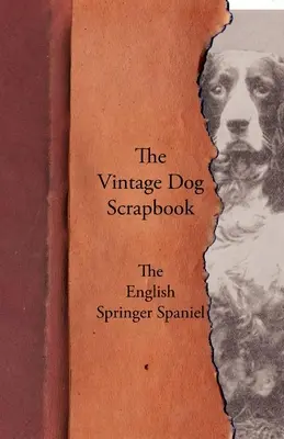 L'album d'epoca dei cani - Lo Springer Spaniel inglese - The Vintage Dog Scrapbook - The English Springer Spaniel