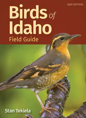 Guida agli uccelli dell'Idaho - Birds of Idaho Field Guide
