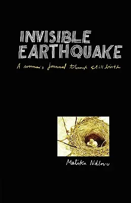 Terremoto invisibile. Il diario di una donna attraverso il parto prematuro - Invisible Earthquake. a Woman's Journal Through Still Birth