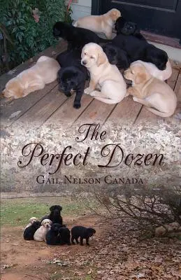 La dozzina perfetta - The Perfect Dozen