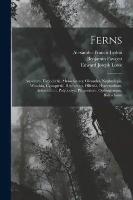 Felci: Aspidium, Hypoderris, Mesochlaena, Oleandra, Nephrolepis, Woodsia, Cystopteris, Hemionitis, Olfersia, Hymenodium, Acro - Ferns: Aspidium, Hypoderris, Mesochlaena, Oleandra, Nephrolepis, Woodsia, Cystopteris, Hemionitis, Olfersia, Hymenodium, Acro