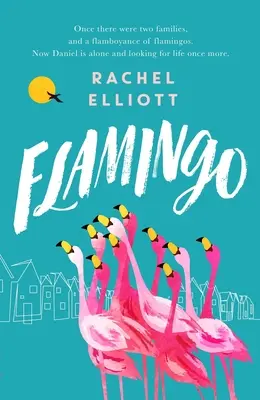 Fenicottero - Flamingo
