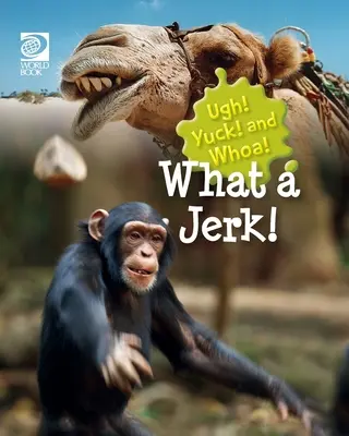 Che idiota! - What a Jerk!