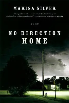 Senza direzione verso casa - No Direction Home