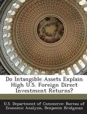 Gli asset immateriali spiegano gli alti rendimenti degli investimenti esteri diretti degli Stati Uniti? - Do Intangible Assets Explain High U.S. Foreign Direct Investment Returns?