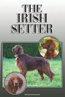 Il Setter irlandese: Una guida completa ed esaustiva per il proprietario: Acquistare, possedere, salute, toelettatura, addestramento, obbedienza, comprensione e - The Irish Setter: A Complete and Comprehensive Owners Guide To: Buying, Owning, Health, Grooming, Training, Obedience, Understanding and